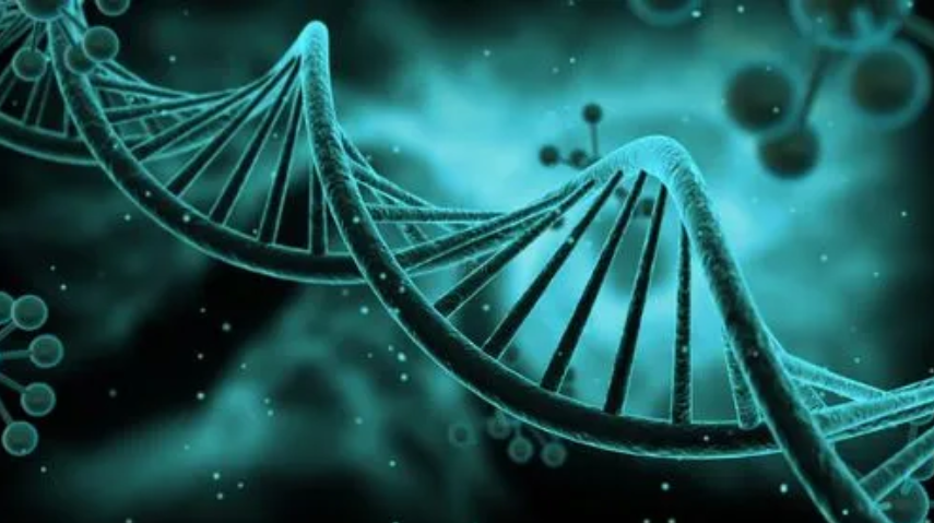 生物技術翻譯需要關注哪些要點？