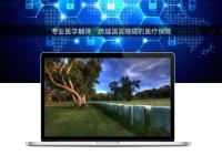 專業醫學翻譯:跨越語言障礙的醫療保障